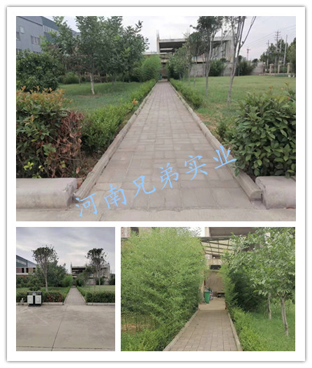 竹林小径